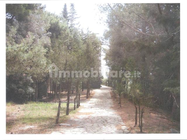 Bilocale Ss267, Pollica