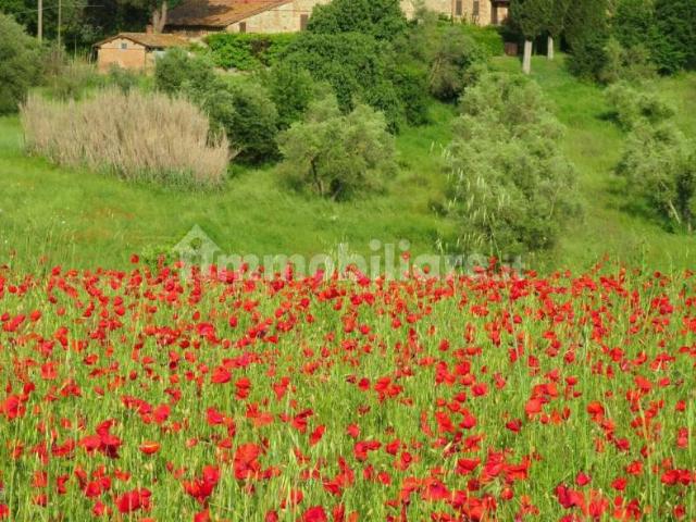 Bilocale Strada delle Tolfe 31, Le Tolfe Monteliscai, Siena