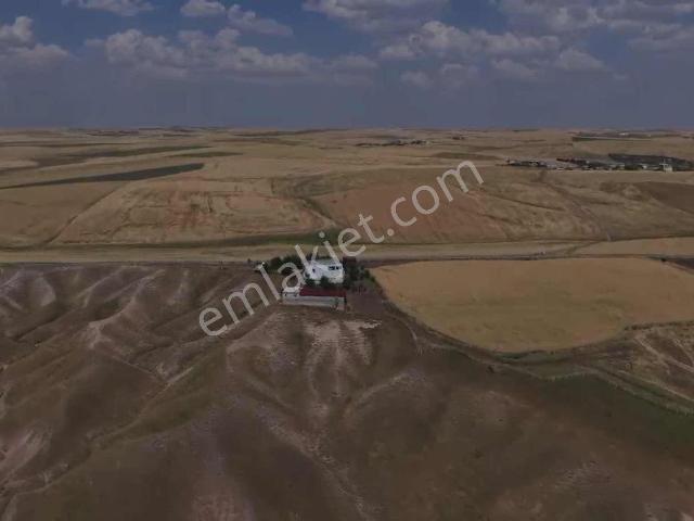 Bir Villa Fiyatına Dev Çiftlik Fırsatı!
