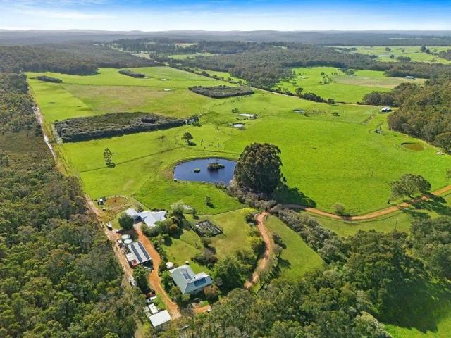 'Birdsong', The Forever Farm !