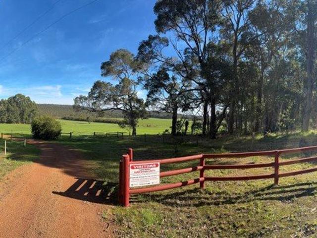 'Birdsong', The Forever Farm !