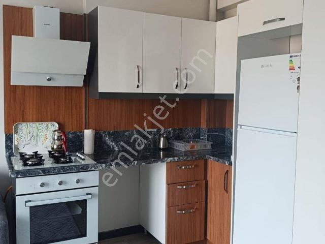 Birlik Gayrimenkul Den Çarkıpare De 1+1 Full Eşyalı İskanlı Hasarsız Fırsat Daire