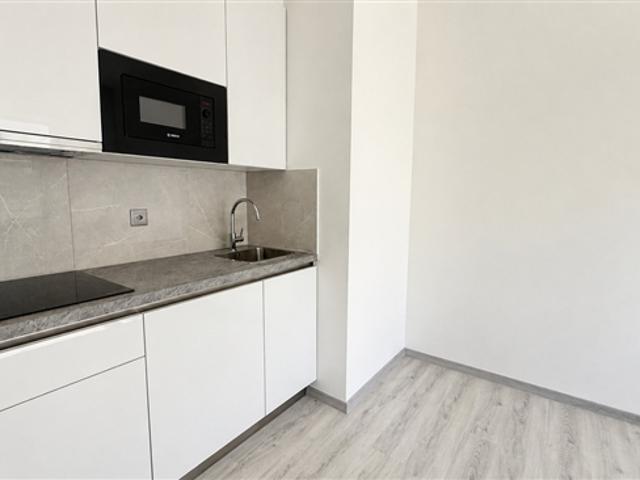 BIS ZU 3 MONATE GRATIS – 1.5 Zimmer Wohnung renoviert und modern in Lugano