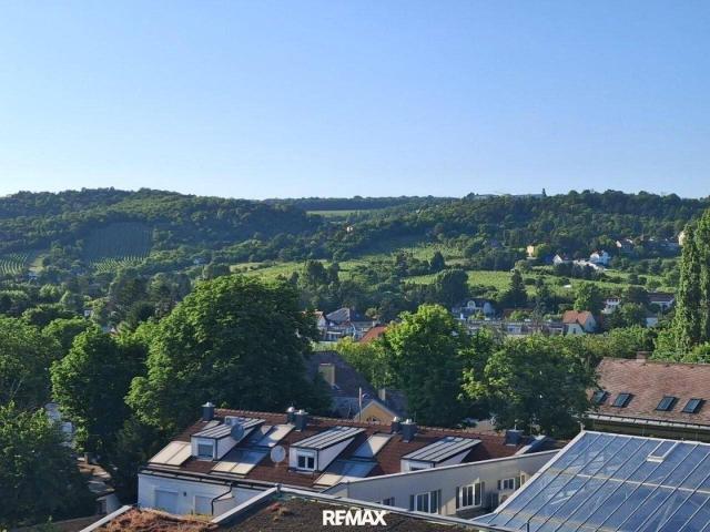 Bisambergblick: Exklusives Dachgeschoss Terrassen Penthouse