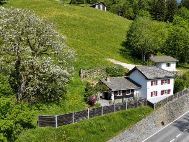 Bischu zum Entspannen und Geniessen