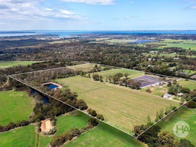 Bittern Estate A Rare Mornington Peninsula Vineyard Opportunity