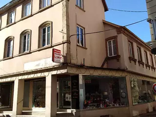 Bitche 57230 Achat / Vente maison 15 pièces t15