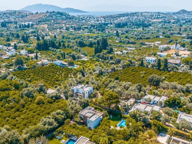 Bitez Köyiçi'nde Kiralık Özel Havuzlu, Müstakil Modern Taş Villa