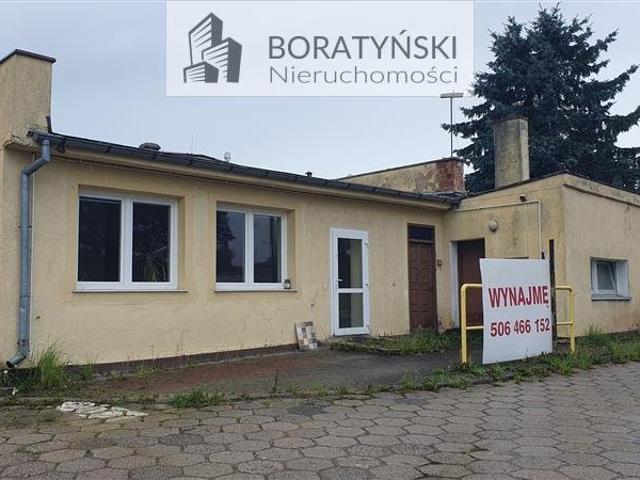 Biuro 60 m² przy Szczecińskiej, Koszalin polecam!