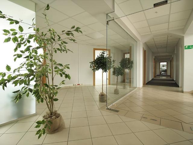 Biurowiec 2427 m² Nowe Miasto Poznań z parkingiem