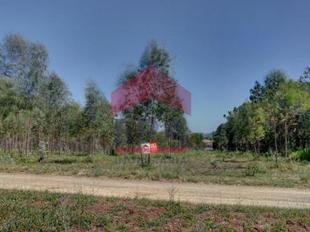 Bombarral Bombarral 104153960