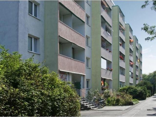 Bonus nach Wahl für Ihre neue 3 Raum Wohnung