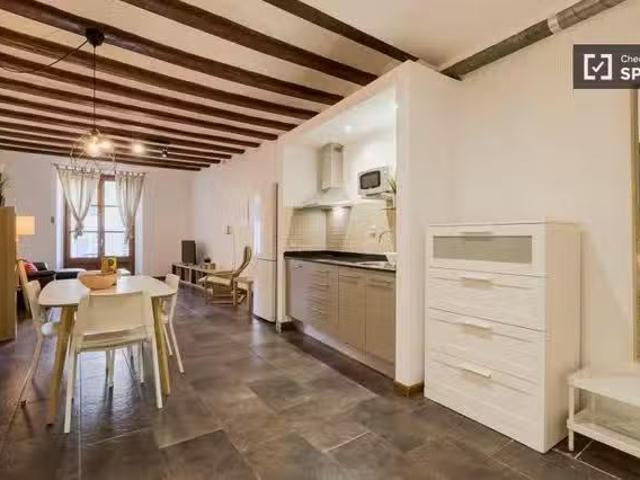 Barato Estudio en alquiler en Sant Pere Santa Caterina, Barcel.