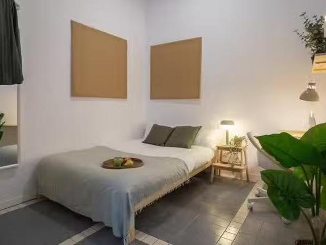 Único Habitación en Carrer dels Assaonadors, 31