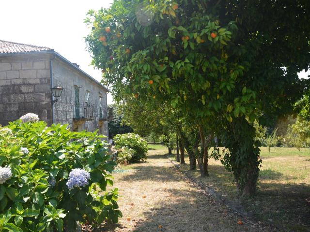 Bonito Pazo