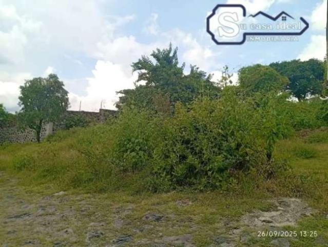 bonito terreno ubicado en un fracc en oaxtepec