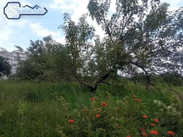 Bonito terreno en oaxtepec Morelos