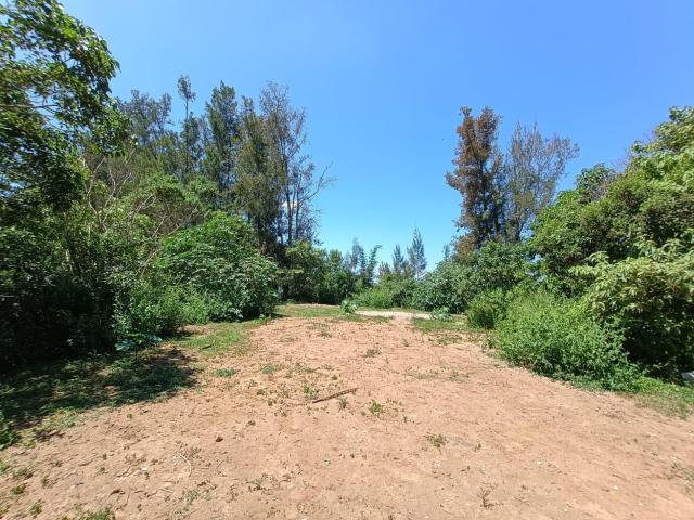 BONITO TERRENO PLANO EN BARRANCA HONA