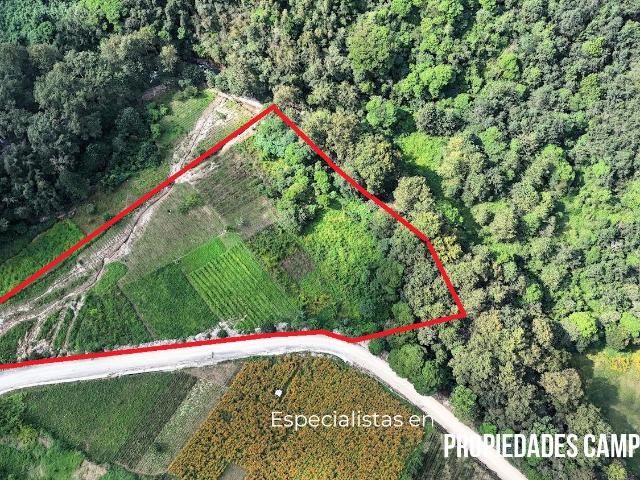 Bonita Hect?rea junto al rio en Huauchinango