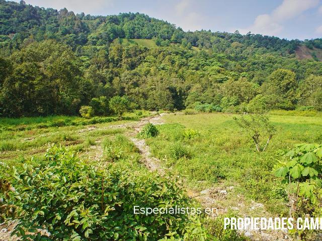Bonita Hect?rea junto al rio en Huauchinango