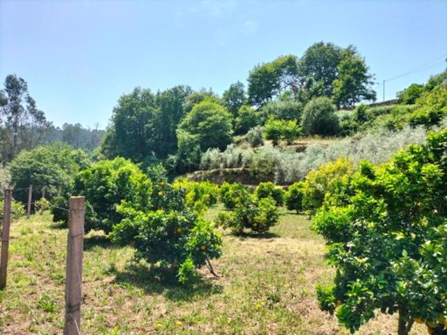 BONITA QUINTINHA JUNTO A RIACHO | CATIVES