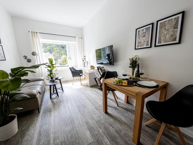 ☆BONNYSTAY: Modernes, zentrales 2 Zimmer Apt Passau Amsterdam Apartments for Rent