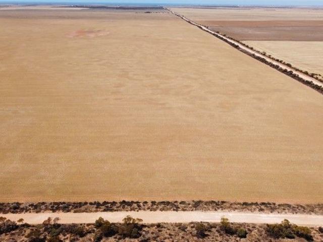 BOOTHBY Mixed Farming