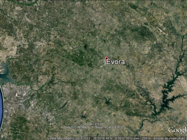 Boa herdade florestal eucaliptal