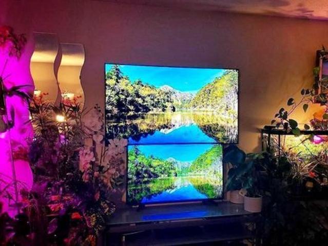 bob ami Has an Apartment