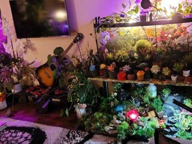 Bob Has an Apartment