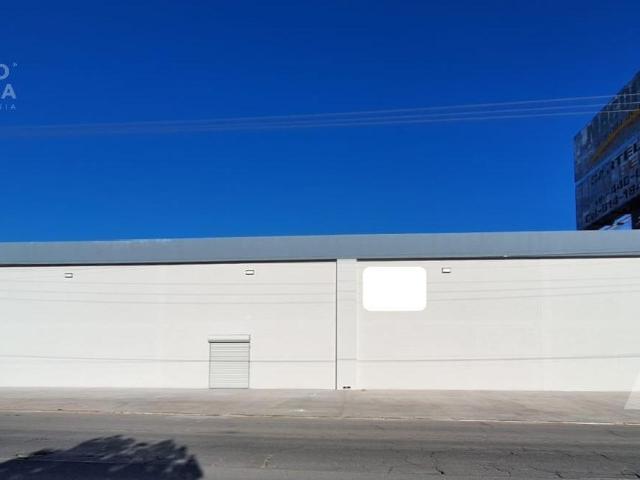 Bodega