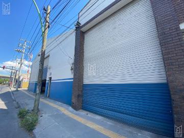 Bodega