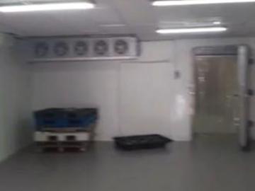 Bodega