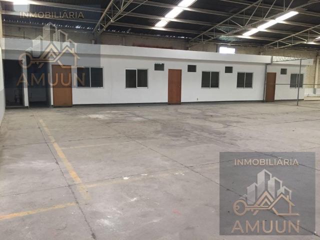 Bodega comercial en DamiAn Carmona