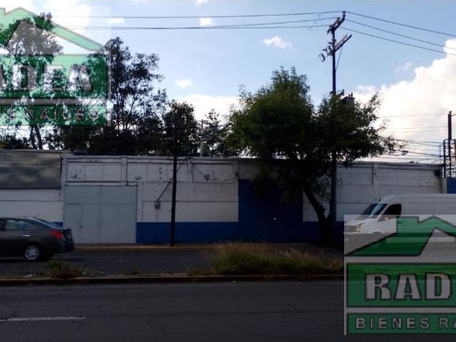 Bodega Amplia