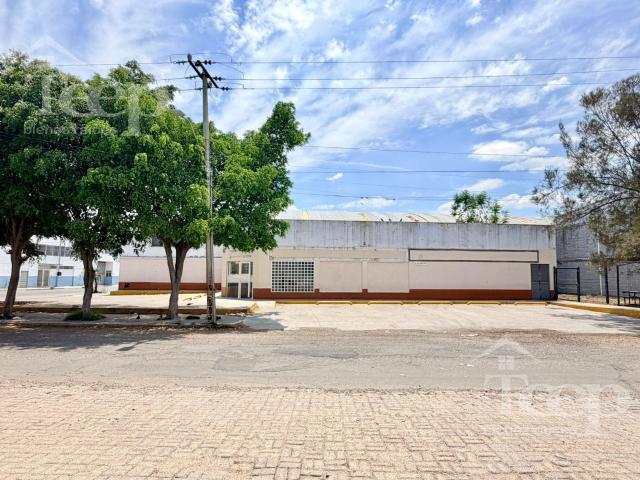 Bodega en Renta