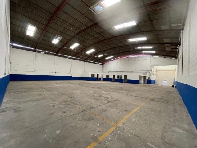 Bodega en Renta