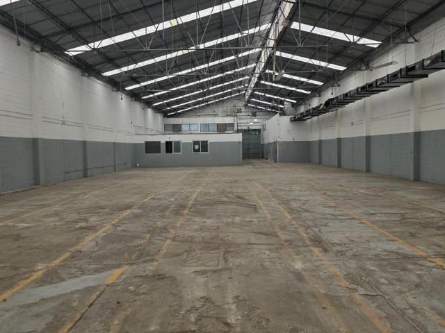 Bodega en Renta, Alce Blanco Grande y Libre de Columnas