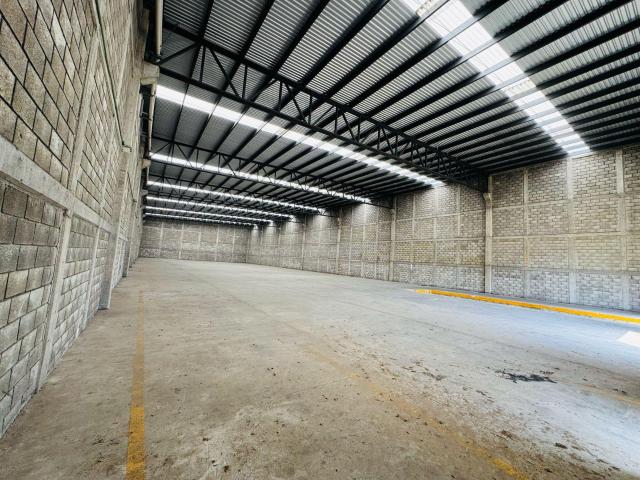 BODEGA EN RENTA AVENIDA DE LA INDUSTRIA, ALTAMIRA, TAMAULIPAS