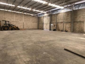 BODEGA EN RENTA EN CANC?N EN AV. LUIS DONALDO COLOSIO DE 516.33 M? | UBICACI?N ESTRAT?GICA