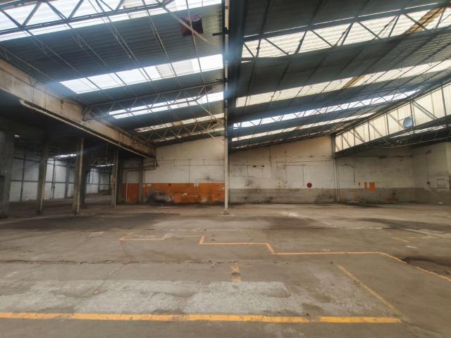 BODEGA EN RENTA EN LAZARO CARDENAS