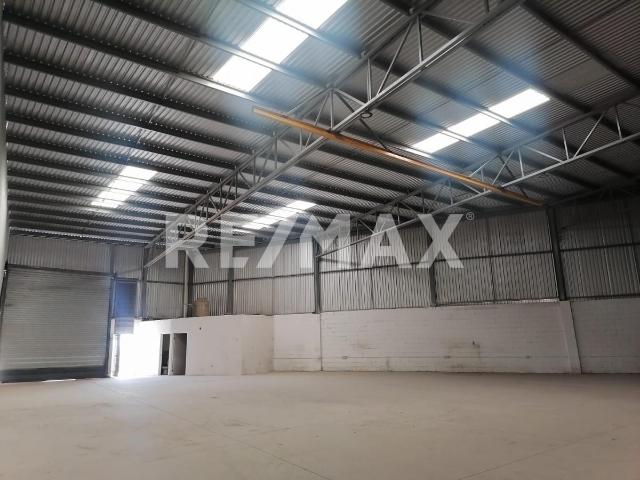 BODEGA EN RENTA EN LAGOS