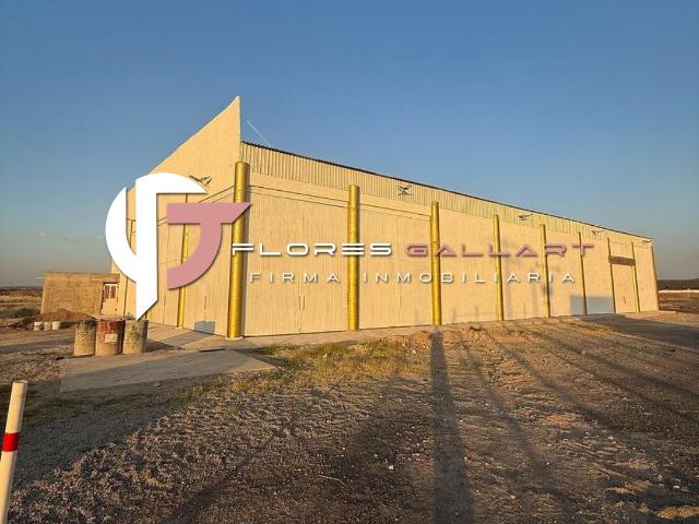 Bodega en Renta en Pe?uelas al Sur de la Ciudad P