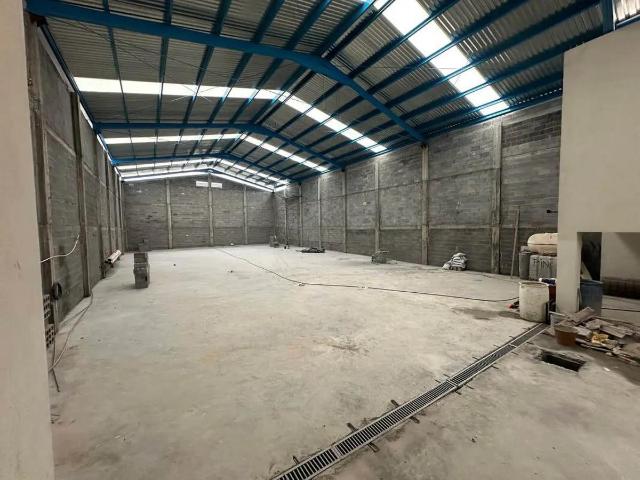 Bodega en Renta en Zona Centro