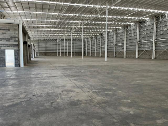 Bodega en renta Logistik 2