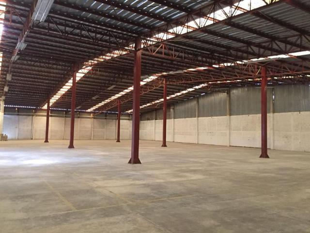 BODEGA EN RENTA LOMA BONITA
