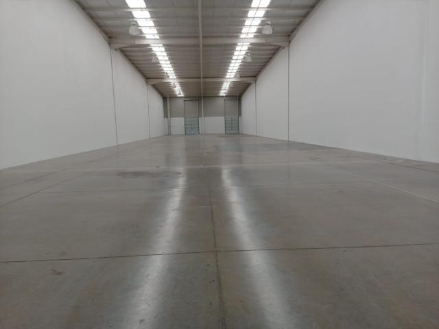 Bodega en Renta Querétaro Benito Juárez
