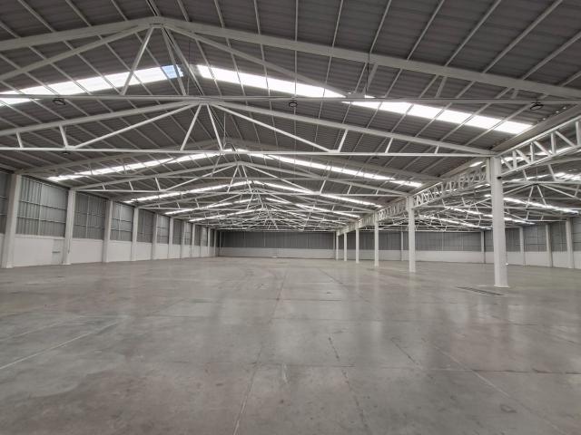Bodega Industrial Zona industrial Parque Industrial Chichimeco