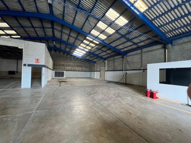 Bodega Industrial en Tampico Altamira