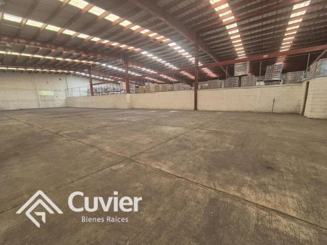 Bodega Industrial en Am?rico Villareal